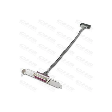 HP Hátlapi kivezetés 1x párhuzamos port (DB25)