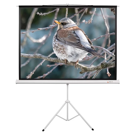 FUNSCREEN 118" (4:3) manuális hordozható vetítővászon (Méret:180x240 cm)