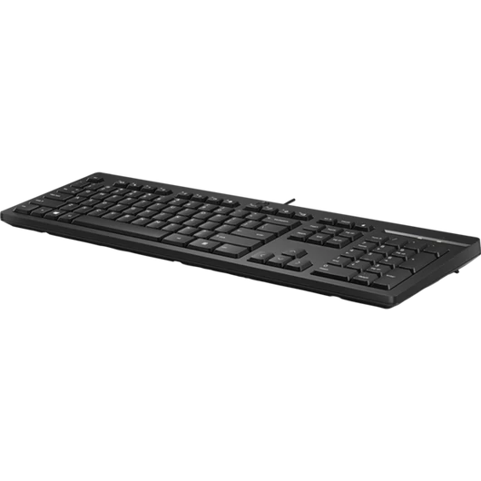 HP Vezetékes Billentyűzet USB 125