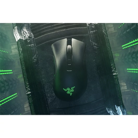 RAZER DeathAdder V2 Pro - Black (Wireless gaming mouse with best-in-class ergonomics)