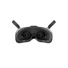 DJI Goggles 2 Motion Combo