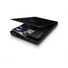 EPSON Scanner - Perfection V39II (A4, 4800x4800 DPI, USB, USB tápellátás)