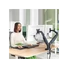 LEITZ, Ergo Dual helytakarékos monitorkar, két monitorhoz, sötétszürke