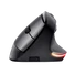 TRUST Vezeték nélküli függőleges ergonomikus egér 24731 (Bayo Wireless Rechargeable Ergonomic Mouse)