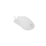 White Shark GRAPHENE-W, GM-5014W gamer egér,6D, fehér, 6200 dpi, RGB