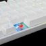 White Shark SHINOBI mechanikus (red switch) gamer billentyűzet, fehér (angol)